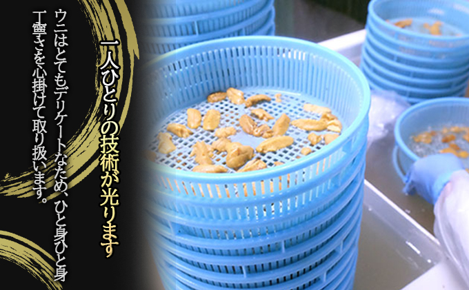 北海道 無添加塩水 ウニ 100g 1パック 1月下旬頃～3月中旬頃まで順次出荷 バフン ムラサキ うに 雲丹 海鮮 小川商店 