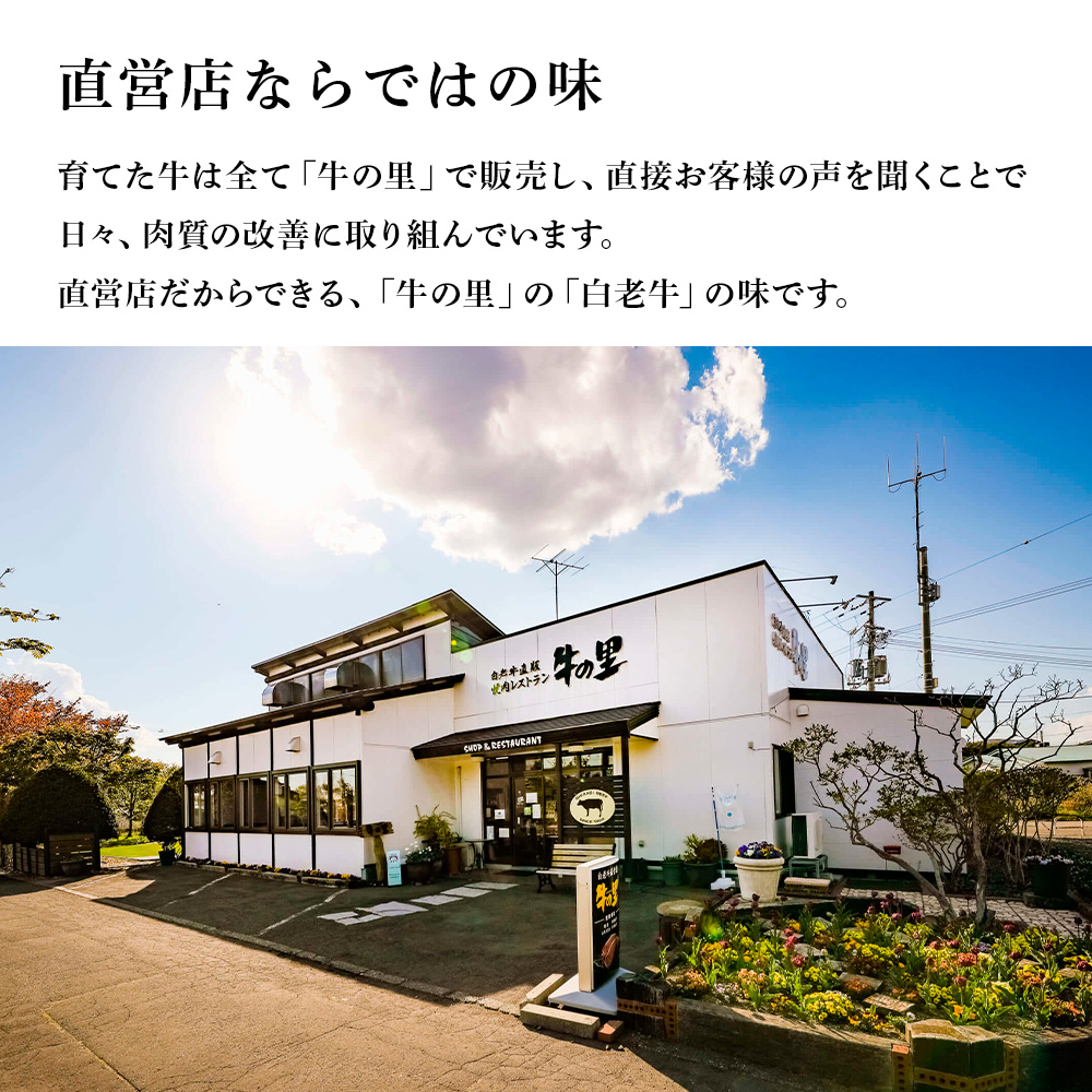 北海道白老町のふるさと納税 牛の里ビーフハンバーグ（110g×8個）特製ソース（8袋）の詰合せ