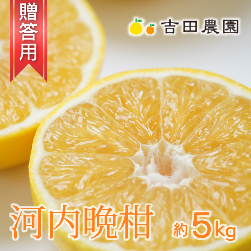 【愛媛県愛南町】数量限定 先行予約 贈答用 河内晩柑 5kg 10000円 みかん かわちばんかん 愛南ゴールド あいなん ゴールド 夏 文旦 和製 グレープフルーツ 家庭用 産地直送 国産 農家直送 期間限定 ビタミン 健康 おいしい 特産品 ゼリー ジュース アイス 等に 人気 限定 さわ