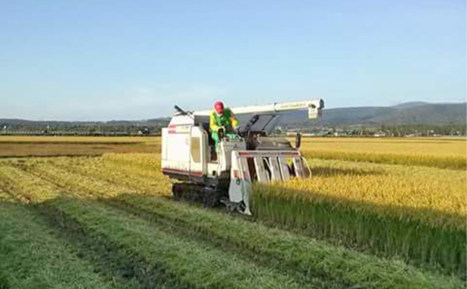 北海道赤平産 きたくりん 20kg (5kg×4袋) 特別栽培米 米 北海道 お米 ふるさと納税 