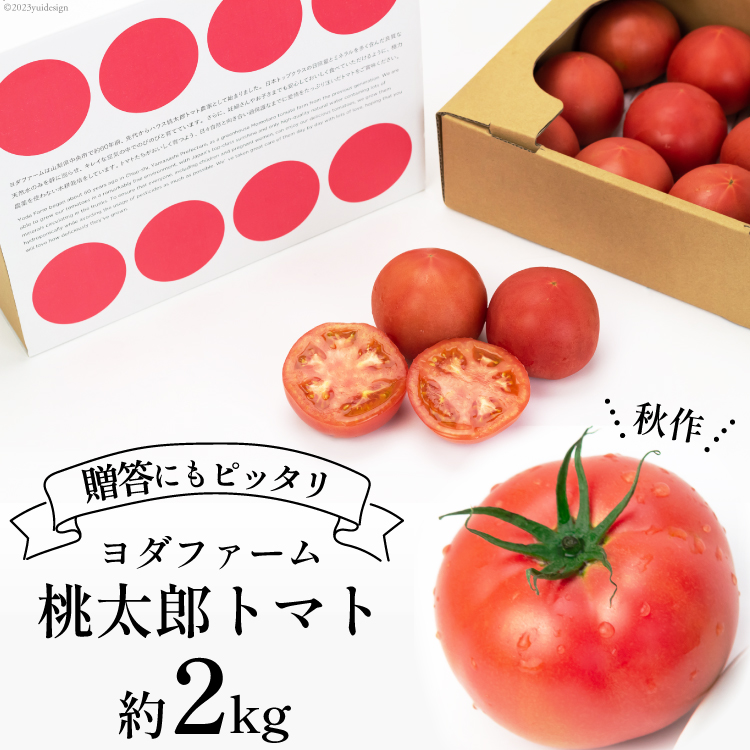 山梨県中央市のふるさと納税 【2025年発送】 秋作 トマト 桃太郎 約2kg [ヨダファーム 山梨県 中央市 21470977] とまと 野菜 やさい 2キロ 季節限定 期間限定 産地直送 山梨県産