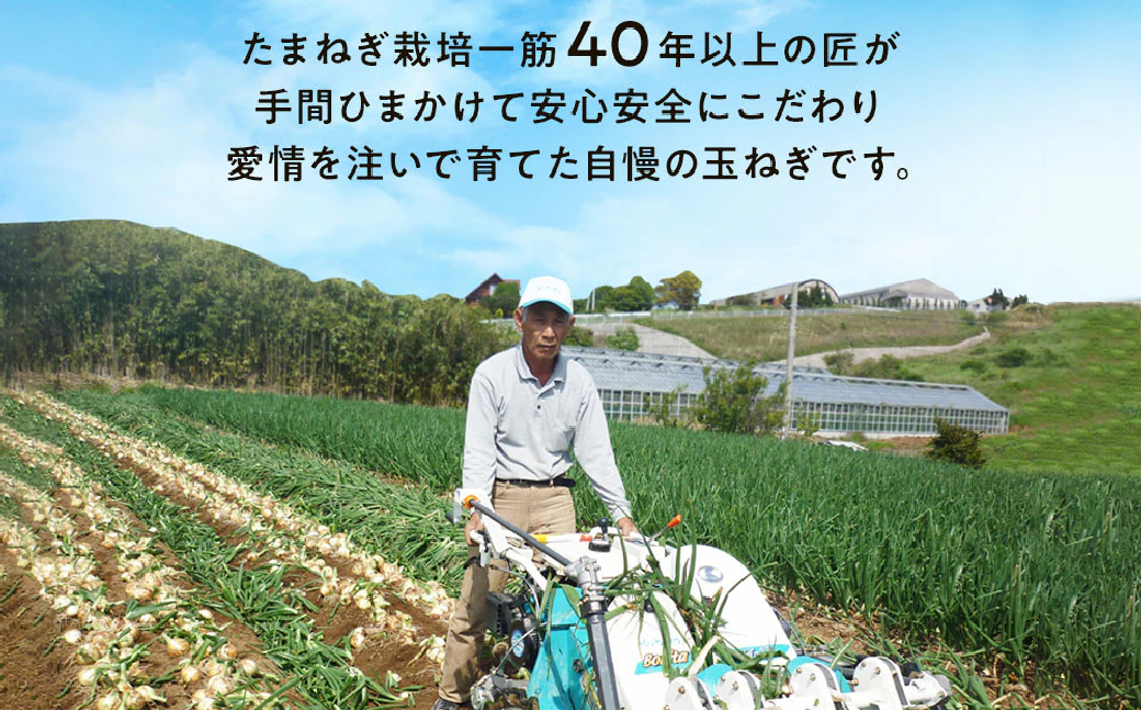 【新たまねぎ】今井ファームの淡路島たまねぎ「かくし玉」 5kg【発送時期2026年4月下旬～5月頃】　[玉ねぎ 産地直送 玉ねぎ]