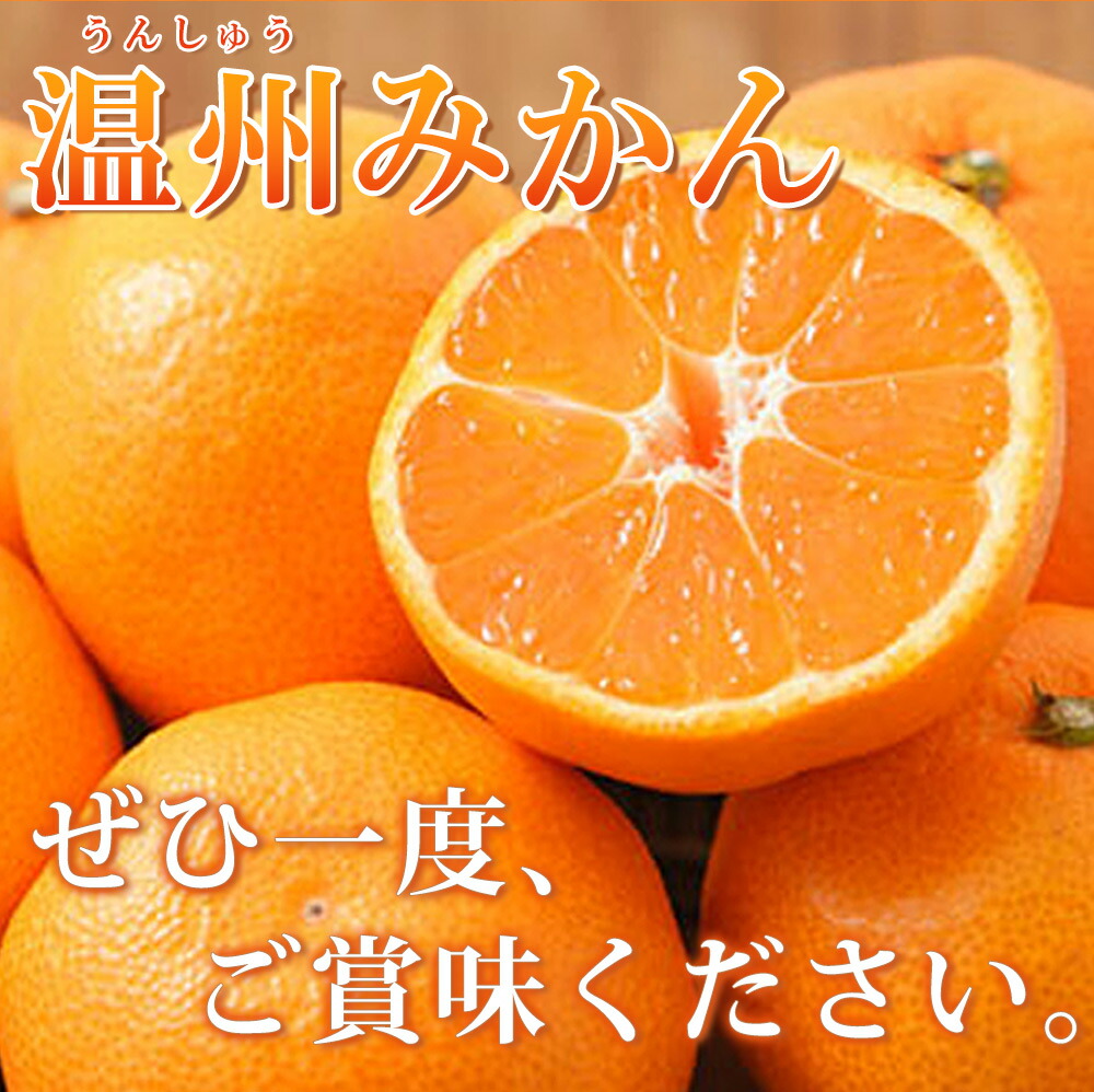 G7043_【2026年11月下旬より発送】紀州有田産 濃厚甘熟温州みかん 5kg
