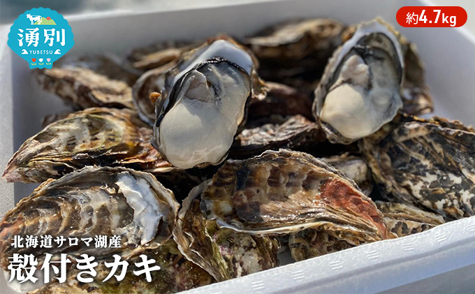 ykCNʒzs\ kC T}ΎY JL 4.7kg y  CN  Y kt Lt y H Ăy ① Yn Iz[cN L