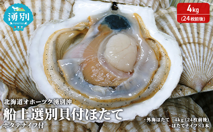 北海道 オホーツク 湧別沖 船上 選別 貝付 ほたて 4kg（24枚前後）ホタテナイフ付 帆立 刺身 海鮮 魚介 国産 殻付き 冷蔵 サロマ湖 魚貝類 砂抜き お刺身 生食 