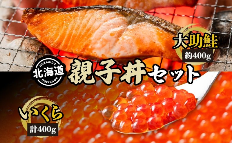 大助といくらの親子丼セット(甘塩大助切身1切 約100g×4切、いくら醤油漬け200g×2個) 鮭 サーモン 大助 魚貝類 魚卵 加工食品 いくら 北海道 