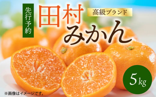 G7340_【2026年11月下旬より発送】高級ブランド 田村みかん 5kg