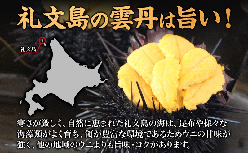 先行予約 北海道 礼文島産  塩水ウニ （ キタムラサキウニ ）100g×2  生うに うに 雲丹  魚貝類 生ウニ 北海道産 200g 