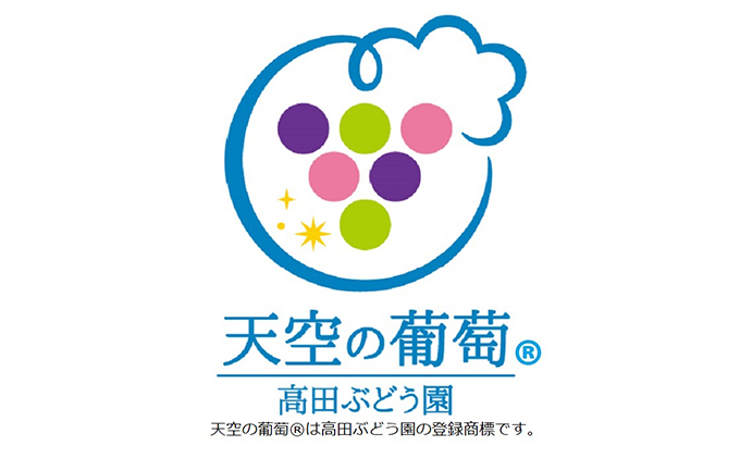 ぶどう 2026年度 早期受付 天空の葡萄(登録商標) ニュー ピオーネ 2房 1.2kg以上 1箱 美味しい笑顔をお約束 葡萄 フルーツ 岡山 高梁市産