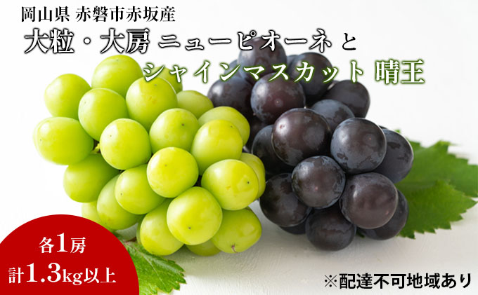 �y���R���Ԕ֎s�z�Ԃǂ� 2026�N ��s�\�� �V���C�� �}�X�J�b�g ���� 1�[ �j���[�s�I�[�l �嗱 ��[ 1�[ ���v1.3kg�ȏ� �u�h�E ���� ���R�� �Ԕ֎s�Y ���Y �t���[�c �ʕ� �M�t�g �ԍ��s �ʕ���