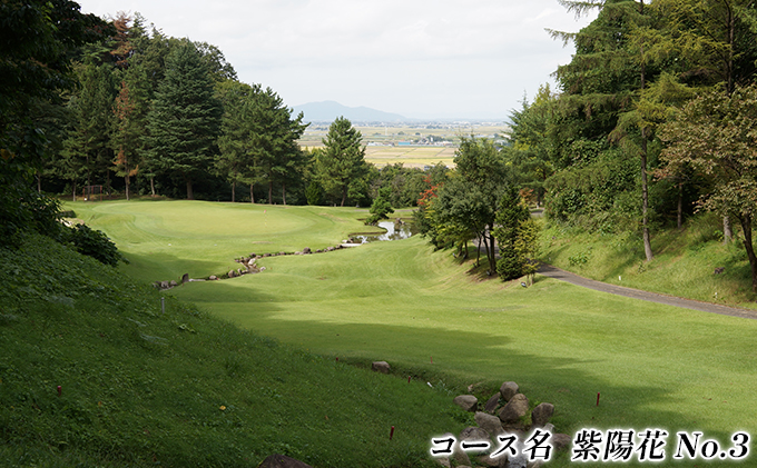新潟県田上町のふるさと納税 湯田上カントリークラブ利用補助券＜10枚＞ ゴルフ場利用権 ゴルフプレー スポーツ
