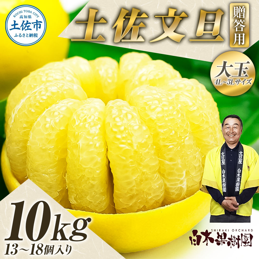 【高知県土佐市】\果樹園直送/土佐文旦 約10kg 4L〜3Lサイズ 13〜18個入り 大玉・特大玉〈特選品贈答用〉果物 柑橘 フルーツ ぶんたん ブンタン 文旦 高知県土佐市 お取り寄せ 産地直送 おいしい 美味しい 返礼品 白木果樹園