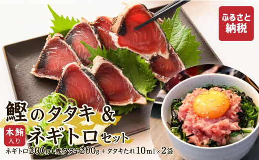 【高知県土佐市】本鮪入りネギトロ・鰹のタタキのセット ネギトロ200g かつおタタキ200g かつおのタタキ 鰹 ねぎとろ ネギトロ丼 鮪 まぐろたたき 海鮮 丼もの 詰め合わせ セット 冷凍 食品 おいしい お取り寄せグルメ おつまみ 酒の肴 故郷納税 高知 土佐市 返礼品