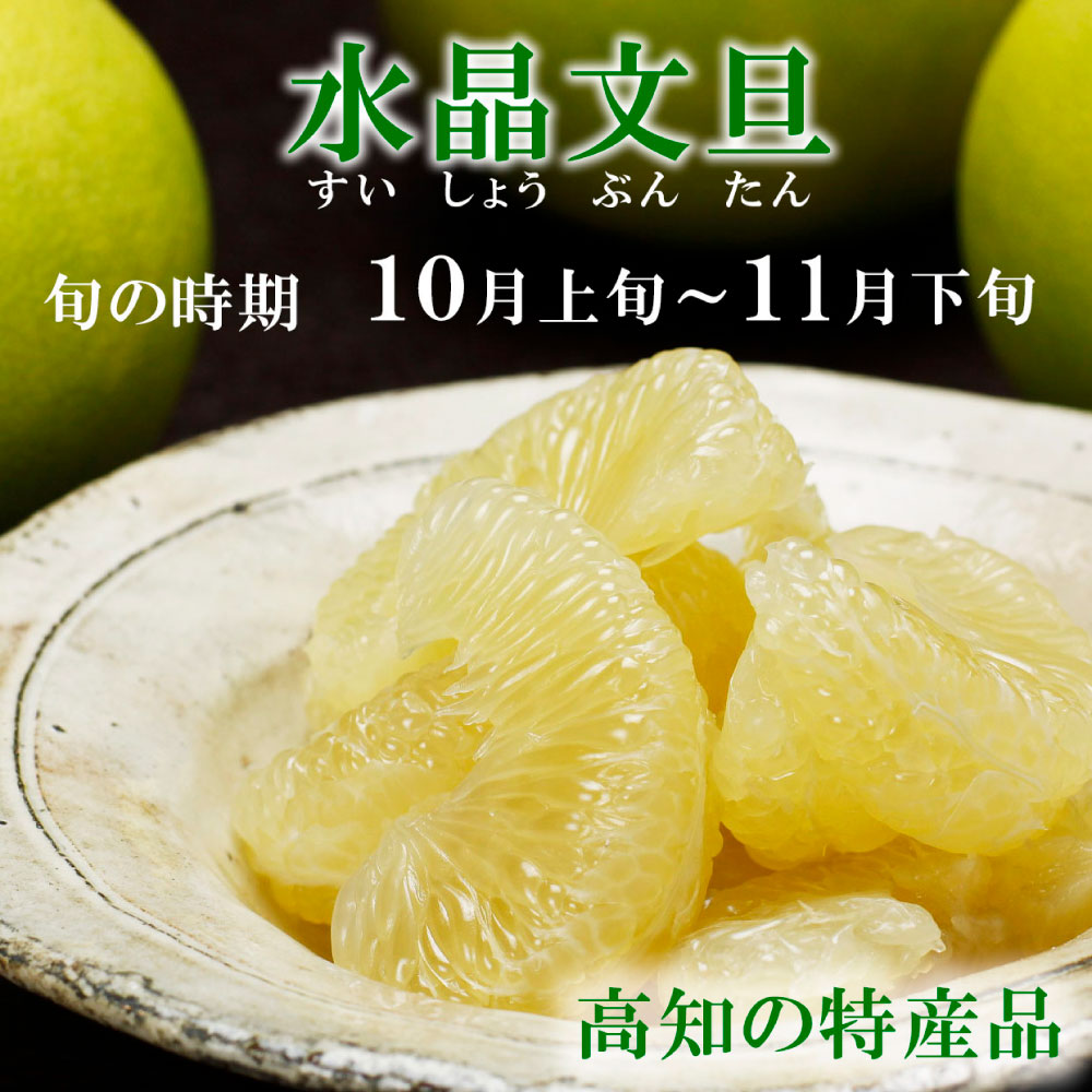 高知県産水晶文旦特選ご贈答用中玉6個入り 