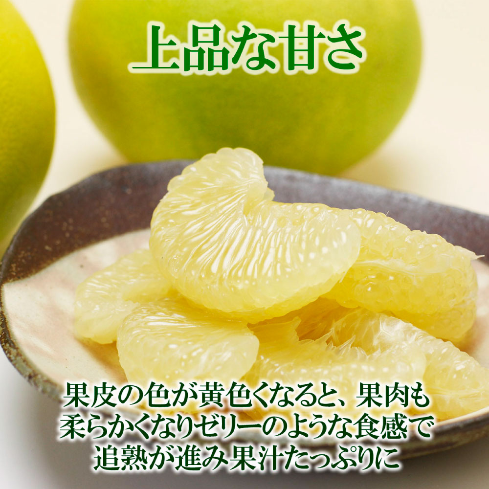 高知県産水晶文旦特選ご贈答用中玉6個入り 