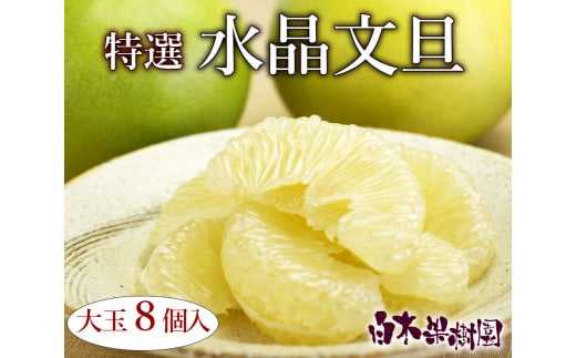 高知県産水晶文旦特選ご贈答用特大7個もしくは大玉8個