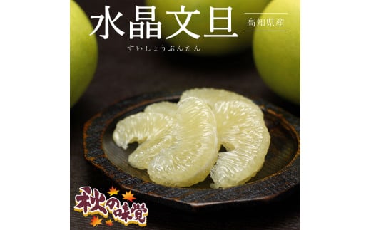 高知県産水晶文旦特選ご贈答用特大7個もしくは大玉8個