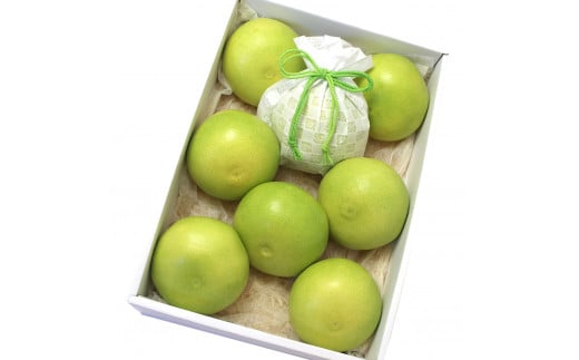 高知県産水晶文旦特選ご贈答用特大7個もしくは大玉8個