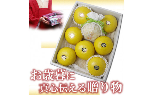 12月発送土佐文旦 温室土佐文旦 特選秀品ご贈答用大箱 約5kg 大玉8個もしくは特大7個入り 文旦 ハウス文旦 大玉サイズ 柑橘 みかん フルーツ ぶんたん ブンタン 果物 お取り寄せ おいしい 美味しい 高知県土佐市産 故郷納税 ふるさとのうぜい 返礼品 高知県 高知 お歳暮 冬ギフト