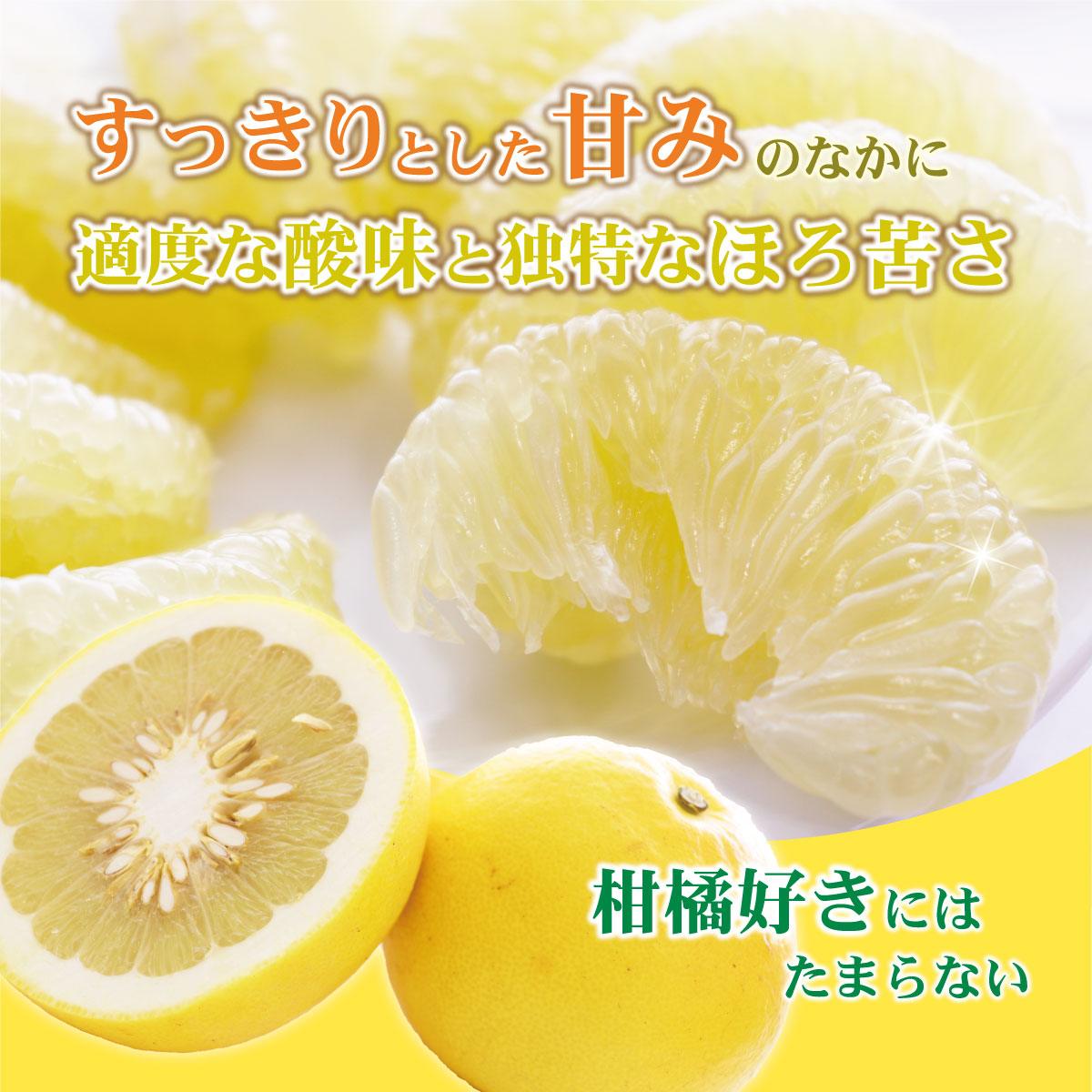 土佐文旦♪大玉ちゃん&訳あり2箱同梱センネンダイ 土佐文旦(ぶんたん) (小玉サイズ:M～L混合) 約5kg【株式会社とさ