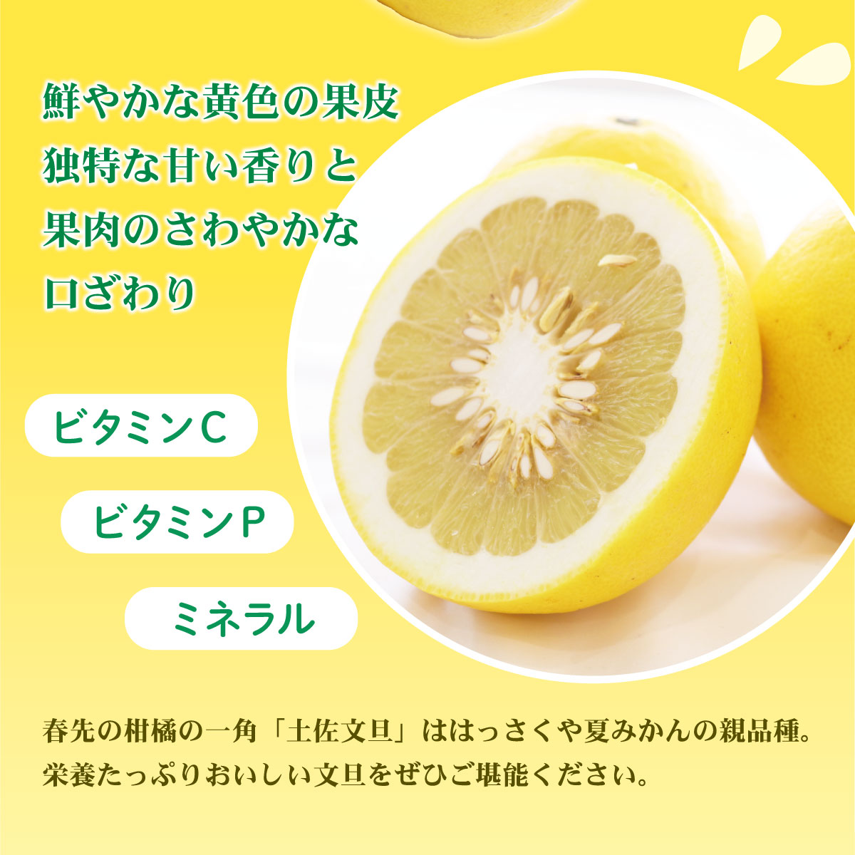 疑似餌小25本中25本 土佐丹吉 Amazon.co.jp: 文旦 土佐文旦 サイズお任せ (約20〜30玉) 訳あり