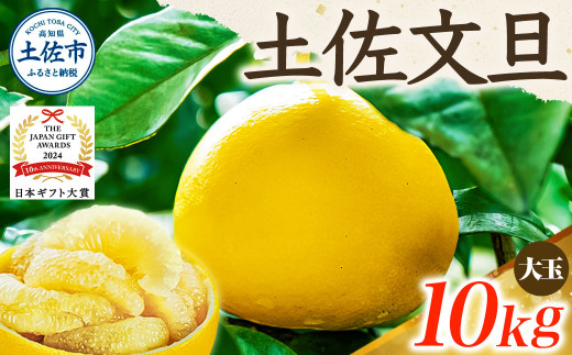 【高知県土佐市】【日本ギフト大賞2024受賞】【先行予約】文旦 大玉10kg(3L〜2L)2026年1月下旬より順次発送 土佐文旦 みかん 柑橘 ぶんたん ブンタン 果物 フルーツ お取り寄せ おいしい 家庭用 贈答用 土佐市 高知 ふるさと納税 春 旬 返礼品 高知県 高知 24000円