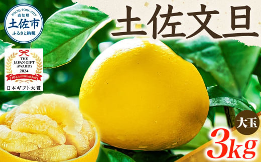 【日本ギフト大賞2024受賞】【先行予約】文旦 大玉3kg（3L～2L）2026年1月下旬より順次発送 土佐文旦 みかん 柑橘 ぶんたん ブンタン 果物 フルーツ お取り寄せ おいしい 家庭用 贈答用 土佐市 高知 ふるさと納税 春 旬 返礼品 高知県 高知 8000円