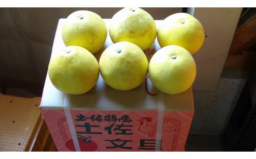 【訳あり】三愛果樹園の土佐文旦10kg　ワケあり 訳アリ ぶんたん ブンタン 果物 柑橘 フルーツ 故郷納税 ふるさとのうぜい 返礼品 高知県 高知