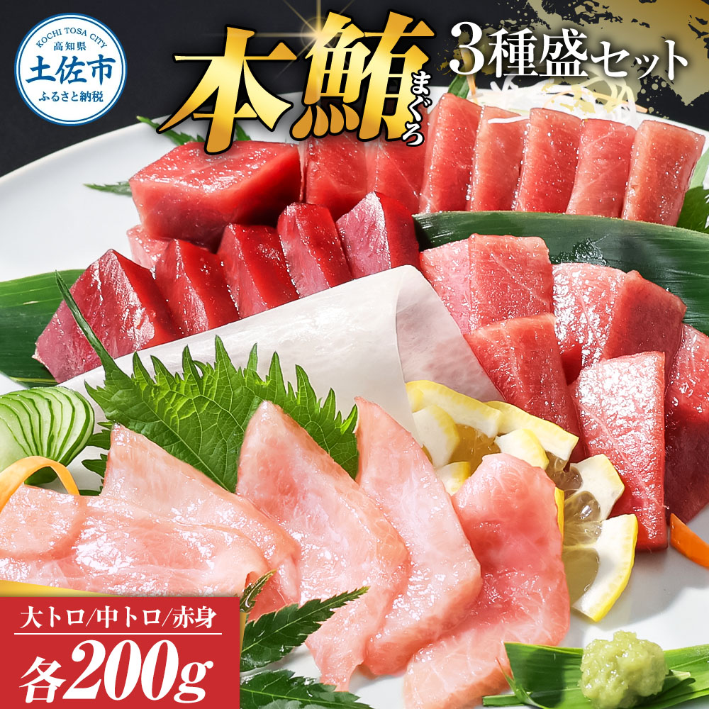 本鮪　大トロ・中トロ・赤身　各200g　まぐろ3種盛セット  マグロ まぐろ 本まぐろ 刺身 刺し身 魚 海鮮 冷凍 美味しい おいしい 食べ比べ セット 詰め合わせ 故郷納税 ふるさとのうぜい 返礼品 高知県 高知