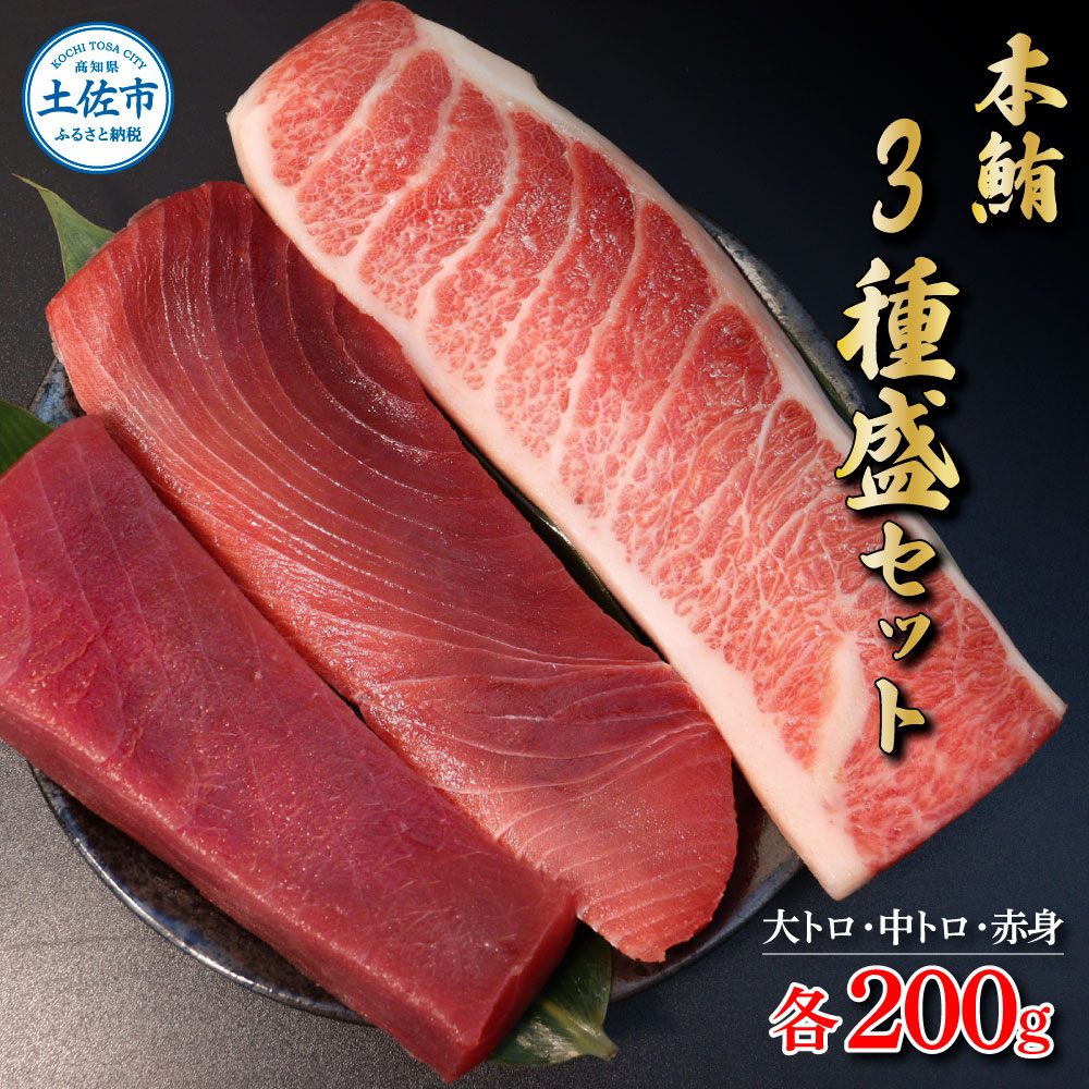 【高知県土佐市】本鮪 大トロ・中トロ・赤身 各200g まぐろ3種盛セット  マグロ まぐろ 本まぐろ 刺身 刺し身 魚 海鮮 冷凍 美味しい おいしい 食べ比べ セット 詰め合わせ 故郷納税 ふるさとのうぜい 返礼品 高知県 高知