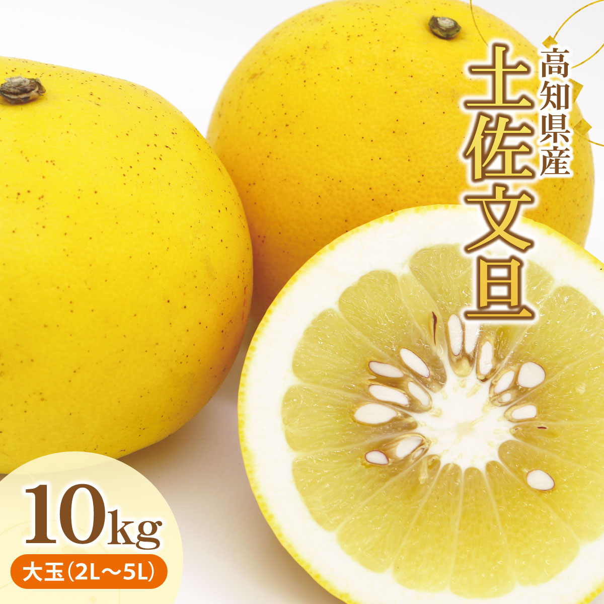 土佐文旦（ぶんたん）（大玉：２Ｌ～５Ｌ混合）約１０ｋｇ【株式会社とさもん（土佐市）】 文旦 10キロ 約14～21玉 ぶんたん ブンタン 柑橘 果物 フルーツ お取り寄せ おいしい 美味しい