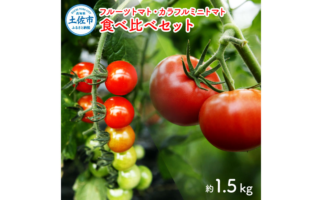 ymyszt[cg}gHׂ׃Zbg 1.5kg g}g t[cg}g ~jg}g lߍ킹 Zbg ӂ[Ƃ܂ t[c~jg}g Jt g}g Ƃ܂  mY