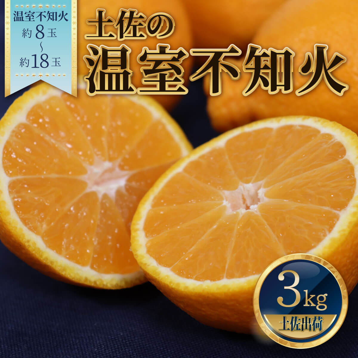 【高知県土佐市】土佐の温室不知火(しらぬい)約3kg みかん 柑橘 フルーツ 果物 美味しい おいしい 常温 故郷納税 ふるさとのうぜい 返礼品 高知県 高知