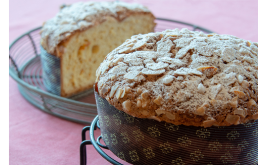 �y���m���y���s�zA-155�@�x�l�`�A�[�i