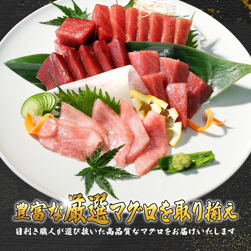 本鮪 中トロ200g トロ マグロ まぐろ 本まぐろ 刺身 刺し身 魚 海鮮 冷凍 美味しい おいしい 故郷納税 ふるさとのうぜい 返礼品 高知県 高知