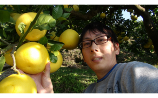 【先行予約】三愛果樹園の土佐文旦 家庭用約3kg 2月～3月発送 文旦 みかん 柑橘 ぶんたん ブンタン 果物 フルーツ お取り寄せ おいしい 美味しい 故郷納税 ふるさとのうぜい 返礼品 高知県 高知