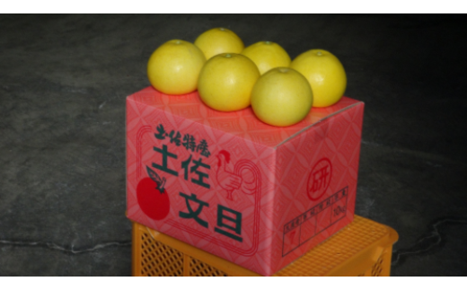 三愛果樹園の土佐文旦 家庭用約10kg 