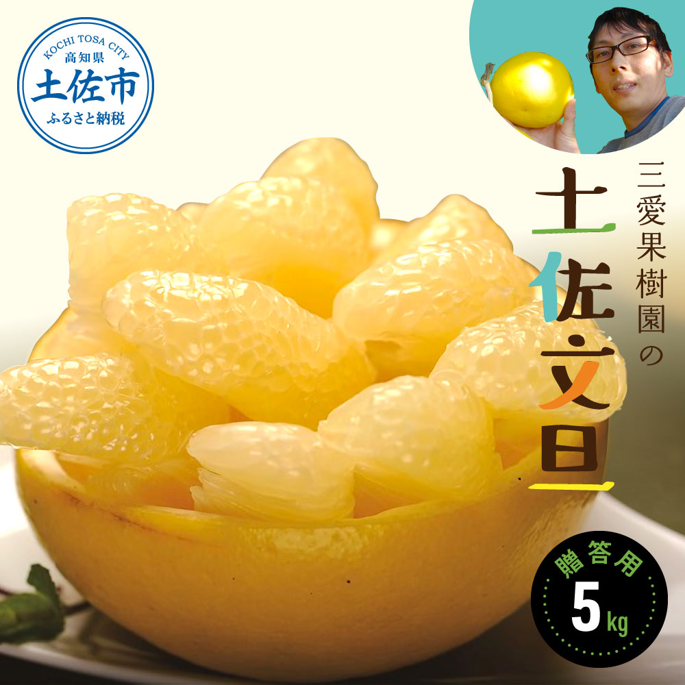 土佐文旦 家庭用 約3キロ(2L - 4Lサイズ：6玉前後) 大玉 先行