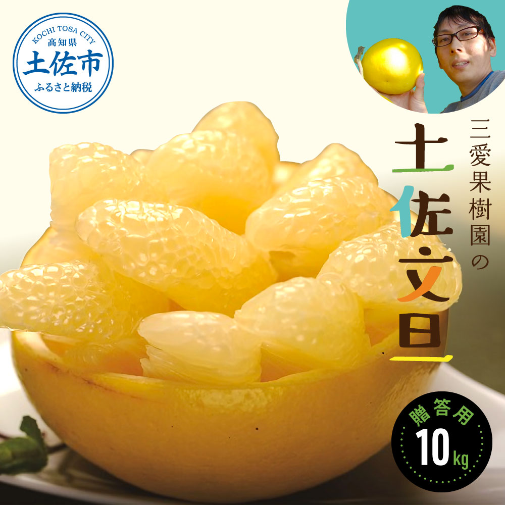 【先行予約】三愛果樹園の土佐文旦　贈答用約10kg　2月～3月発送 みかん 柑橘 文旦 ぶんたん ブンタン 果物 フルーツ お取り寄せ おいしい 美味しい ギフト 贈り物 故郷納税 ふるさとのうぜい 返礼品 高知県 高知
