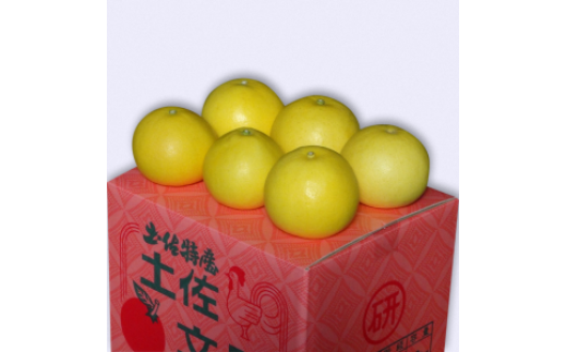 【先行予約】三愛果樹園の土佐文旦　贈答用約10kg　2月～3月発送 みかん 柑橘 文旦 ぶんたん ブンタン 果物 フルーツ お取り寄せ おいしい 美味しい ギフト 贈り物 故郷納税 ふるさとのうぜい 返礼品 高知県 高知