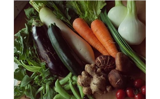 ymysz{̒̂y؋lߍ킹(10`13i)yysz{̖  I  N lߍ킹 Zbg ̂ꂽ   R VN ̋[ ӂ邳Ƃ̂ ԗi m m