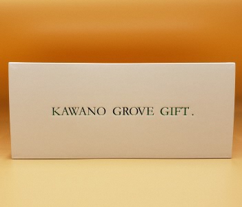 高知県土佐市産 Konatsu Drink KD 20％ 160ml (6本入) ジュース 小夏 柑橘 果汁100％ 無添加 料理 贈り物 ギフト プレゼント 故郷納税 ふるさとのうぜい 返礼品 高知県 高知