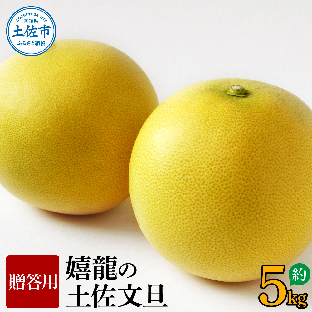 ＜2026年1月下旬より順次発送＞嬉龍の土佐文旦　贈答用　2～3Ｌサイズ　約5kg　減農薬　みかん 柑橘 フルーツ 1月～3月発送 文旦 ぶんたん ブンタン 果物 ギフト 贈答品 お取り寄せ おいしい 故郷納税 ふるさとのうぜい 返礼品 高知県