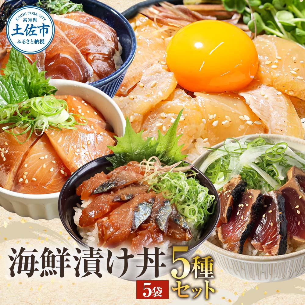 土佐文旦（ぶんたん）（大玉：2L～5L混合）約5kg【株式会社とさ