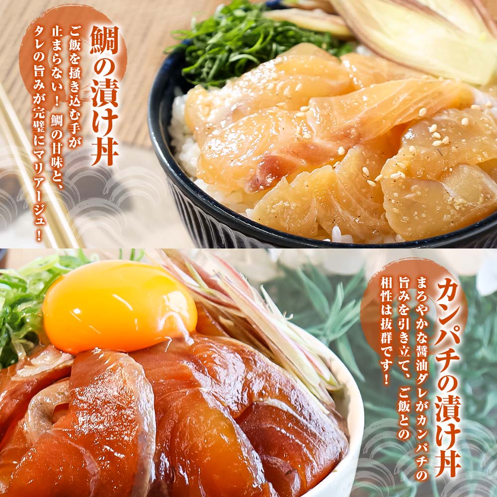 こだわり！土佐の海鮮丼の素５種・各１袋セット【鰹タタキ漬け入り！】　漬け丼 漬け丼セット 海鮮 丼 お茶漬け 鰹のタタキ かつお サバ 鯛 カンパチ ブリ 送料無料 故郷納税 ふるさとのうぜい 返礼品 高知県 高知