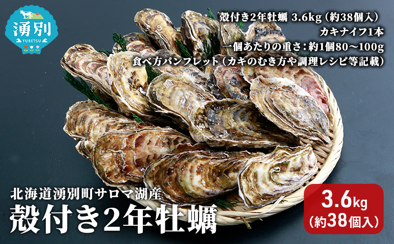 北海道 湧別町 サロマ湖産　殻付き2年 牡蠣 3.6kg(約38個入) カキ 魚貝類 生牡蠣 海鮮 国産 海のミルク 海の幸 身入りが良い つまみ 肴 あて北海道産 生食可 生食 牡蠣ナイフ付き 
