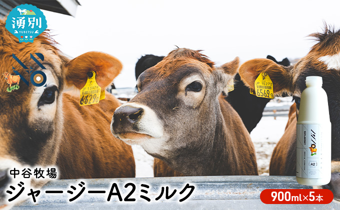 ykCNʒzJq W[W[ A2~N 900ml×5{ W[W[ ₳ Y Iz[cNkC kCY W[W[ ݕ H  q̃~N q̋ ǂ