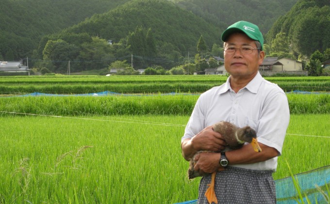 合鴨農法米(7kg) 精米 雑穀 お米 