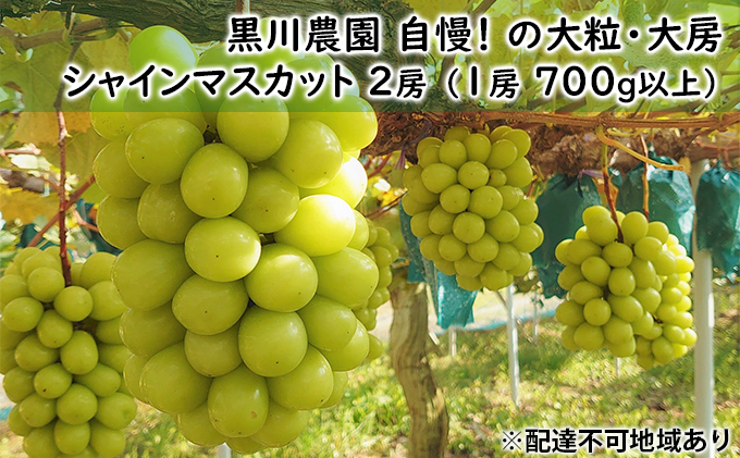yRʖszԂǂ 2025N s\ _  !  嗱 [ VC }XJbg 2[ i1[ 700gȏj uhE   RY Y t[c ʕ Mtg ʕ VC}XJbg 햳 炲 F