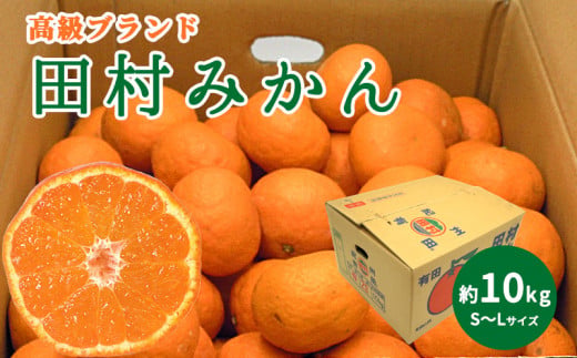 【和歌山県有田郡湯浅町】DN6015_高級ブランド 田村みかん 秀品 10kg (S〜Lサイズおまかせ) 【ミカン 蜜柑 柑橘 温州みかん 有田みかん】